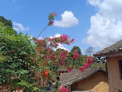 -杨家堂村