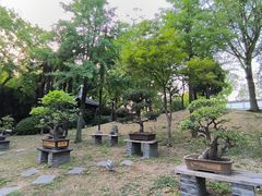 -扬州大运河文化旅游度假区·盆景园