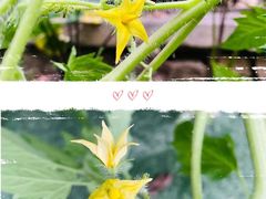 -爱儿坊凯丽滨江幼儿园