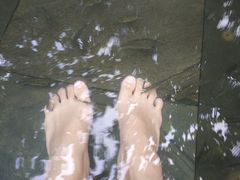 -三亚珠江南田温泉度假区