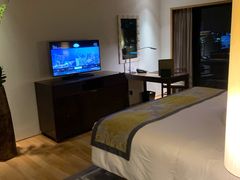 -新加坡乌节希尔顿酒店 (SG Clean)