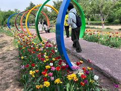 -石家庄市植物园