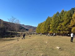 -五营国家森林公园