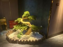 -陆琴脚艺·足浴·SPA(夫子庙店)