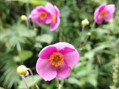 -咸丰县唐崖河景区