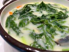 -喜上喜鸡煲翅(吉大店)