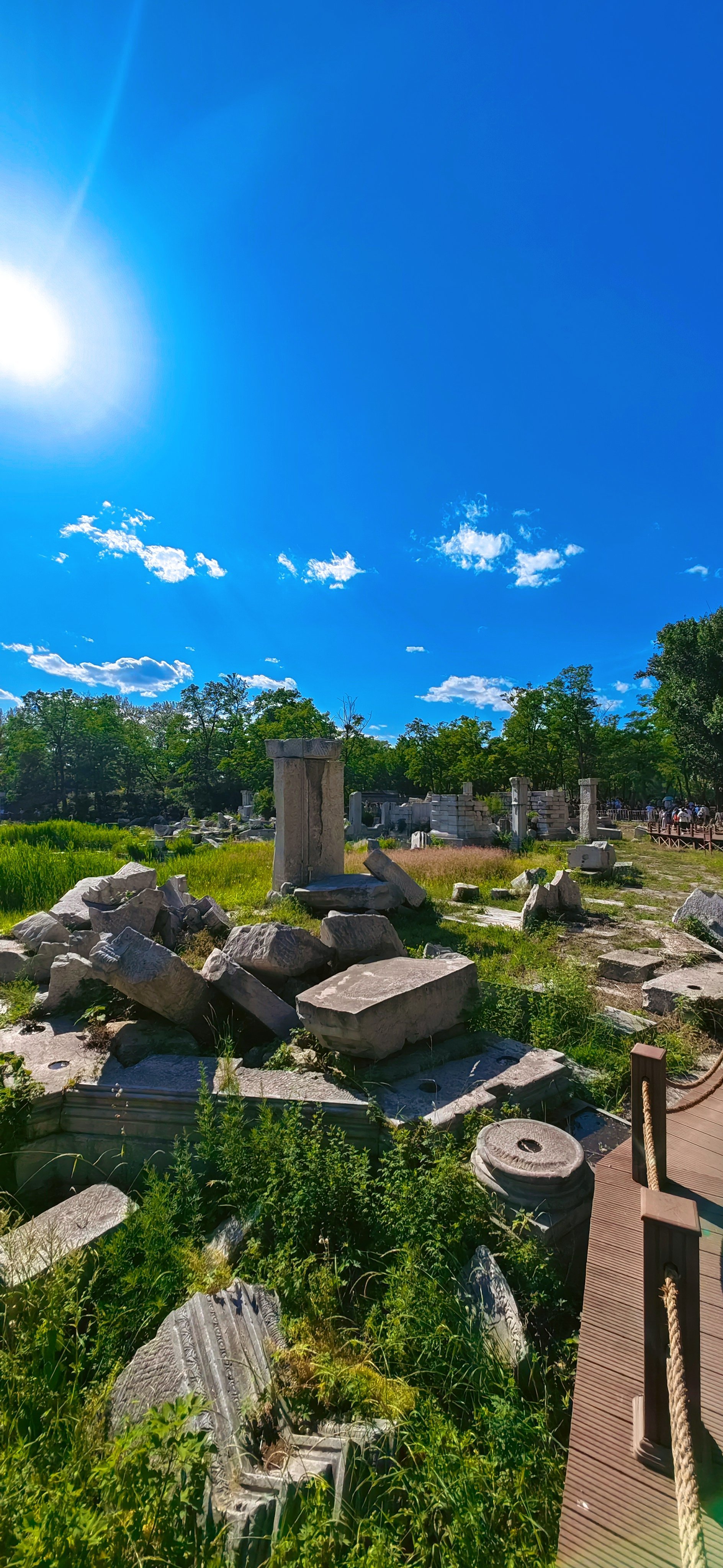 总归得去语文课本上的景点逛一逛‼️万园之园