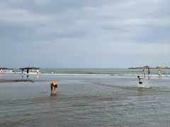 -台山黑沙湾海浴场