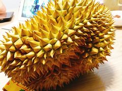 -鲜力达果品批发直销(青山店)