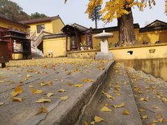-龙寺生态园