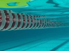 -重庆市奥林匹克体育中心-游泳跳水馆