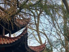 -敬亭山风景名胜区