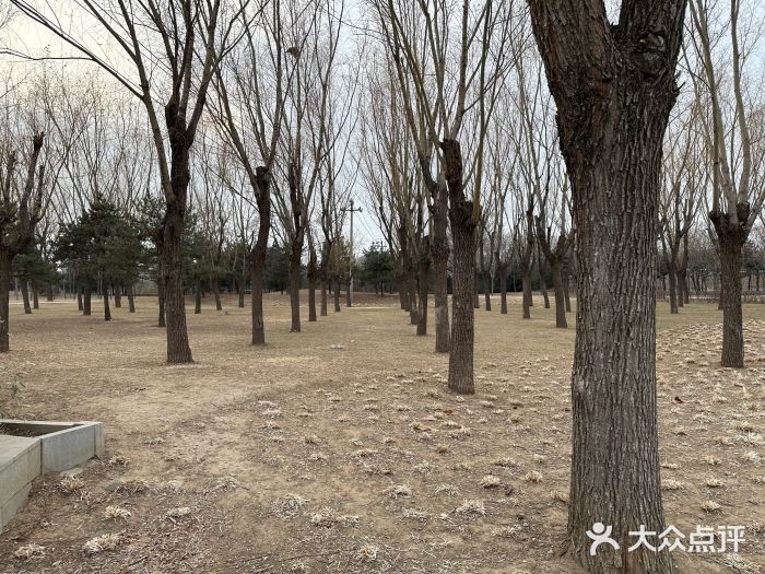 坝河休闲公园图片