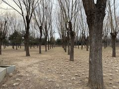 -坝河休闲公园