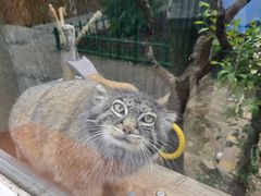 -青藏高原野生动物园