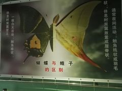 -上海昆虫博物馆