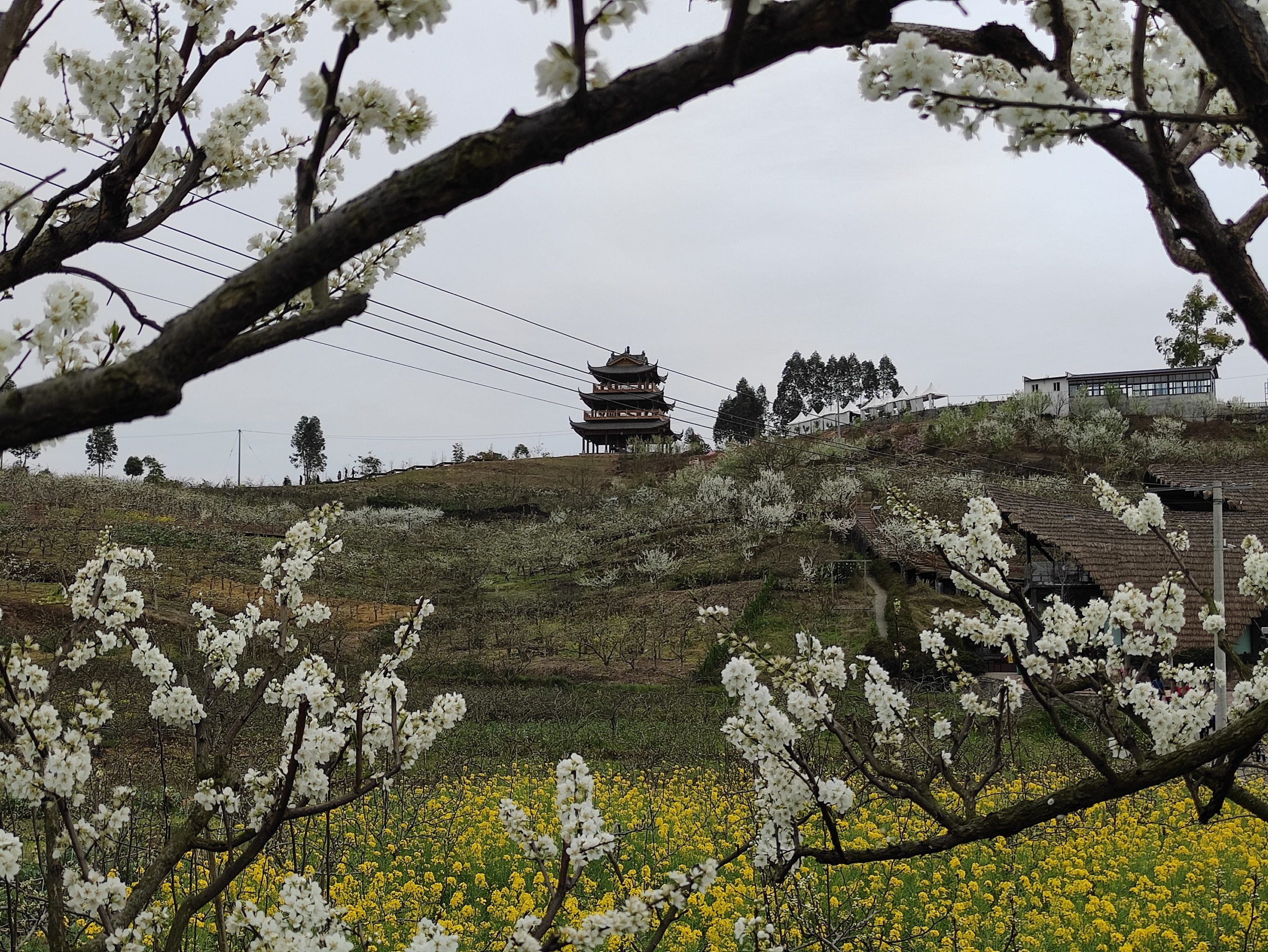 彭州梨花沟图片