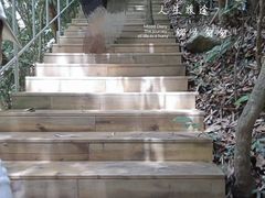 -海南霸王岭国家森林公园