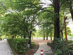 -共青国家森林公园-南大门停车场