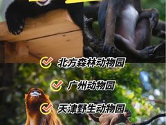 -合肥野生动物园