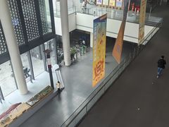 -四川大学博物馆