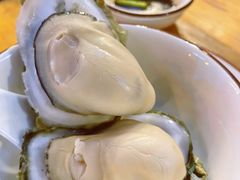 -土蚝·高压锅生蚝(百姓美食街店)