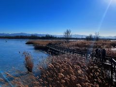 -野鸭湖国家湿地公园