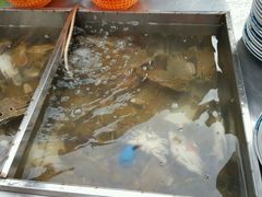 -渔家火锅·海鲜自助餐·演艺(亚龙湾天域酒店)
