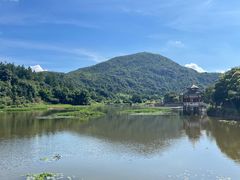 -九鲤湖风景区