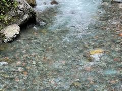 -西岭雪山大飞水景区
