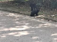 -南京市江宁方山