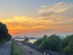 -上海滨江森林公园