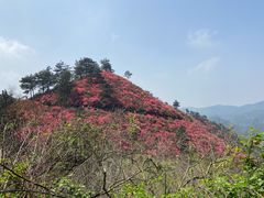 -木兰云雾山