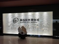 -青岛贝壳博物馆
