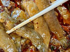 -情妹耙泥鳅·江湖川菜(科华店)