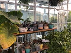 -小时光咖啡馆(北锣鼓巷店)