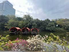 -侨美·唐荔园·40年地道粤菜