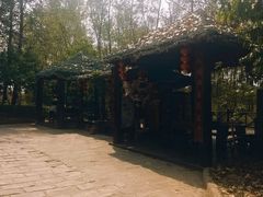 -合肥滨湖国家森林公园