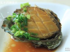 葱油鲍鱼-海岛渔村大酒店(云霄路店)