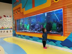 -中国宋庆龄青少年科技文化交流中心