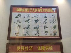 -广东中医药博物馆