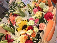 -名都晓荷塘(涿州店)