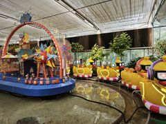 -南宫五洲植物乐园