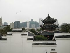 -杨婆婆烤肉(文昌阁店)