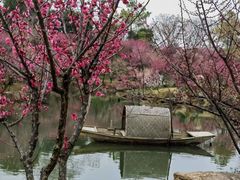 -蠡湖大桥公园