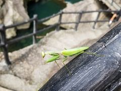 -磐安十八涡风景区