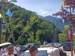 -青峰峡国家森林公园