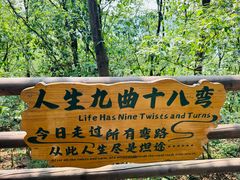 -天目湖山水园