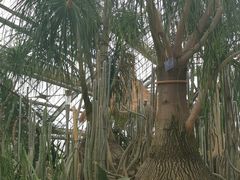 -南山植物园