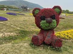 -苏州太湖西山岛开心农场